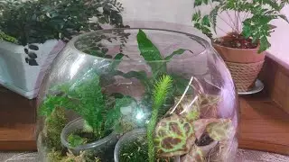 Интересное наполнение вазы 🌿🌱