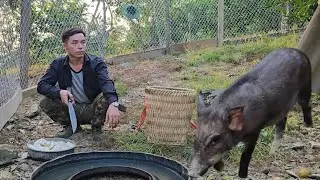 The young man expanded his farm to raise pigs and cook incredibly delicious snail dishes.