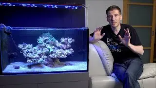 Запуск морского аквариума 6 серия. Пять месяцев после запуска