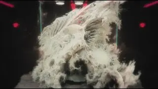 Lab4 - Fractal short-film