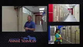 Hannay Reels and Louisville Metro Animal Services
