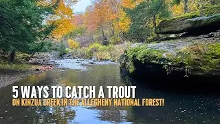 5 Ways to Catch a Trout on KINZUA CREEK in the Allegheny National Forest