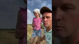#dad