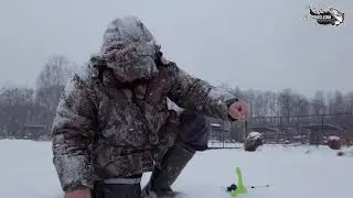Форелевый безлимит в январе! Что это значит?