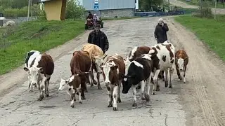 ДАЛЬНОБОЙ !!! По сёлам и деревням )))😜