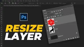 How to Resize layer in Photoshop | Photoshop Tricks and Tips