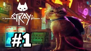 SMALL CAT LOST IN A CYBER CITY | Stray - Part One