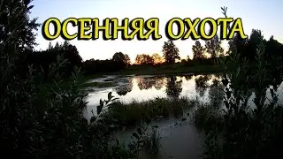 Охота Осенью 2020 Нарезки