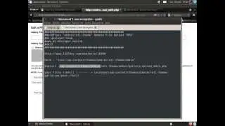 WordPress "photocrati-theme" Upload shell ak27