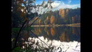 WMT - chcemy tu żyć (skrecze i bit haloon)