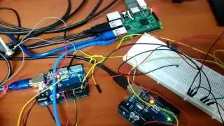 Local Server With Pi and with Arduino Uno Data Storage