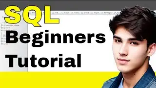 SQL tutorial for beginners - SELECT, INSERT, DELETE