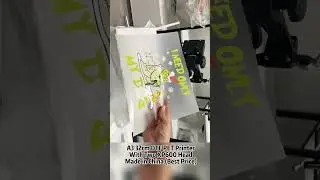 New Good working With This A3 Two head DTF Printer