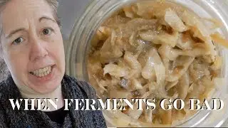 When Ferments Go Bad (How to tell and What to Look For)
