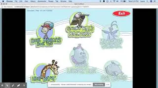 Flash on Elite Chrome Browser