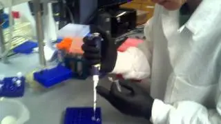 cloning cycle   how to set up a ligation