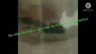 atualização da minha odontomachus
