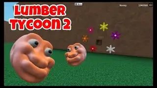 Scoobis! SCOOB HEAD! Lumber Tycoon 2 [NEW ITEM] Beesmas 2018 Update Roblox