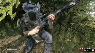Админские будни 020524  -  DayZ