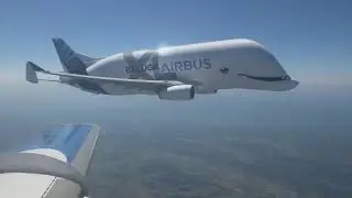 🔥 Airbus BelugaXL🔥ЗНАЛИ ЛИ ВЫ О ЕГО СУЩЕСТВОВАНИИ🔥
