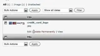How to Add Images, Video, Files, Using Media Features in WordPress