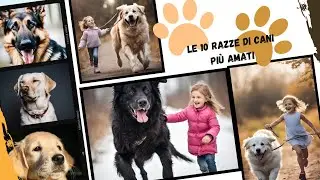 Scopri le 10 razze cani adorate in Italia