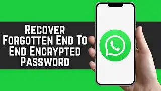 How To Recover Forgotten WhatsApp End-To-End Encrypted Password 2026 (Complete Guide)