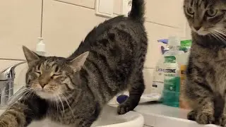 Jenny playing at the washbasin