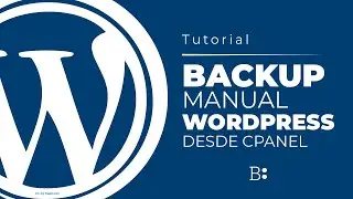 Cómo hacer un ☝ BACKUP MANUAL en wordpress【Cpanel】2020