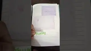 journaling in my diary #like and subscribe ❤️🩵❤️/dream craft/