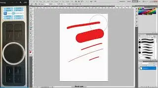 XP Pen Tablet Basics