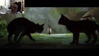 Прохождение Stray #1 Знакомство с котейкой