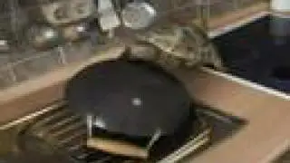 Wok This