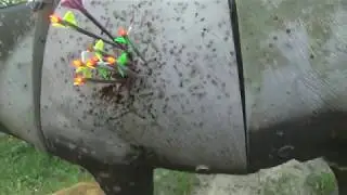NAP Mechanicals, Fixed and Practice Point Flight Comparison