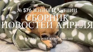 Сборник новостей апреля. Про Лилли, голосование и сад. № 576 Жизнь в Англии