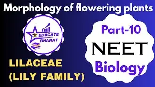 LILACEAE (LILY FAMILY) | Morphology Of Flowering plants | Part 10 | Saumya Maurya MBBS BHU