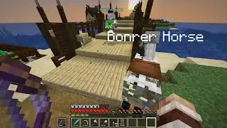 Bonrer Horse. (Minecraft)