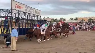 Carreras de caballos de Sanlucar 2019