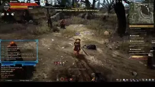 ● BDO что к чему Ронин