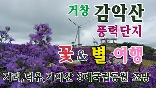 [여행을 떠나요]거창 감악산 꽃&별 여행, 풍력단지, 지리,덕유,가야산 3대국립공원 조망