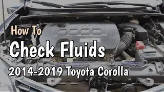 How To Check Fluids 2014 Toyota Corolla Maintenance, Check Oil, Brake, Coolant, Washer Fluid