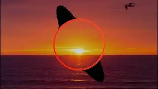 Aya Nakamura - Copines  (Bass Boosted)