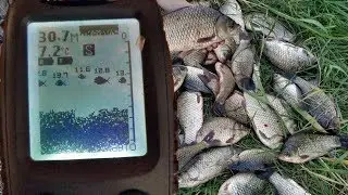 Is it worth buying a CHINESE FISH SOUNDER. Opinion after the season. (LiveFishing)