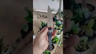 Hunter 