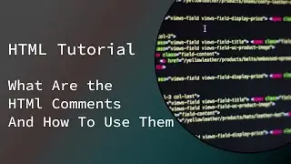 HTML Tutorial: What Is an HTML Comments & How to Use It | Web Development Tutorials #2 | Shriek Dj
