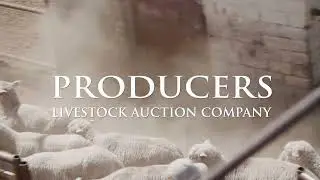 Producers Livestock - San Angelo, Texas