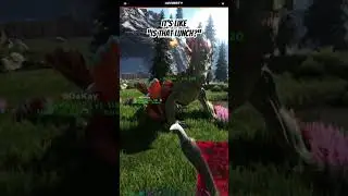 Meeting the ROCK DRAKE 