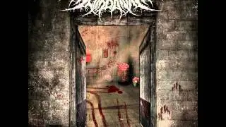 Scordatura - Back to Crack