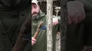 These Are Some Survival Gear From Walmart You Should Have 