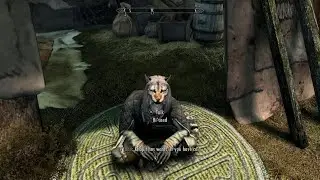 Skyrim: Khajiit has Wares, if you have coin. (Plus conversation)